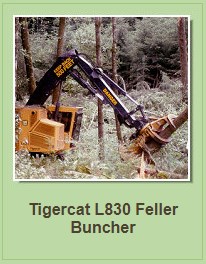 Tigercat L830 Feller Buncher