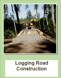 logging road construction