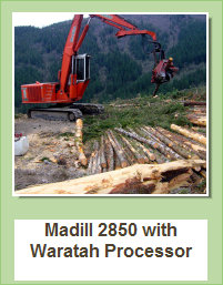 Madill 2850 with waratah Processsor